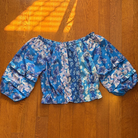 Rachel Zoe Tops - Rachel Zoe Blue Floral Ruffle Crop Top size S